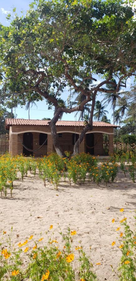 Pousada Vila Mangue Seco Jijoca de Jericoacoara Esterno foto
